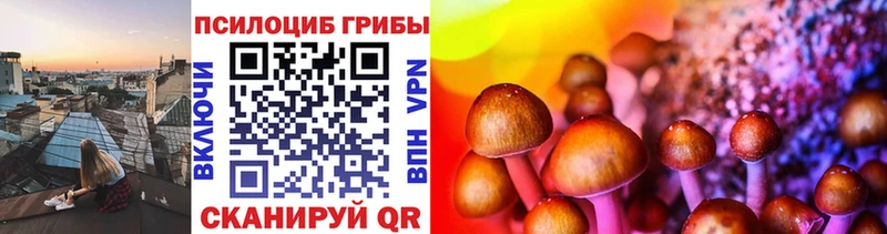 Псилоцибиновые грибы прущие грибы цены наркотик Лукоянов